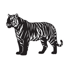 Obraz premium Black and white illustration of a standing tiger with bold stripes