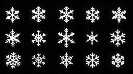 Collection of intricate white snowflakes displayed on a stark black background