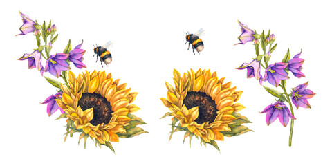 Watercolor illustration set yellow sunflower, purple bellflowers and a flying bee painted in realistic rustic style. Illustration for packaging eco labels honey products textiles and summer decor.