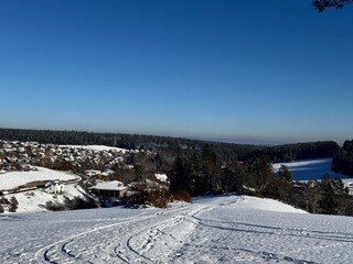 Obraz premium Winter forest landscape with snow, trees and sunlight