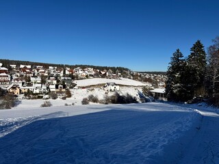 Fototapeta premium Winter forest landscape with snow, trees and sunlight