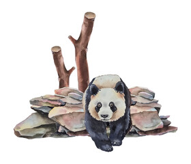 Watercolor illustration panda walking forward among natural stones and wooden branches in a soft realistic style. for packaging childrens products eco brands spa wellness and Asian-themed designs.