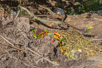 Compost Pile on an Organic Farm Near Santa Fe, New Mexico with green and red peppers, tomatoes and green beans
