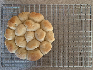 NC Parker House Rolls Cooling in Pie Shape, Whole, 2025