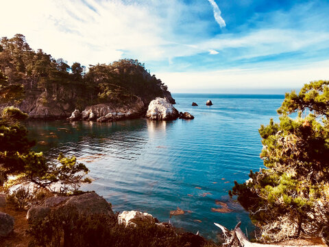 California Dreaming