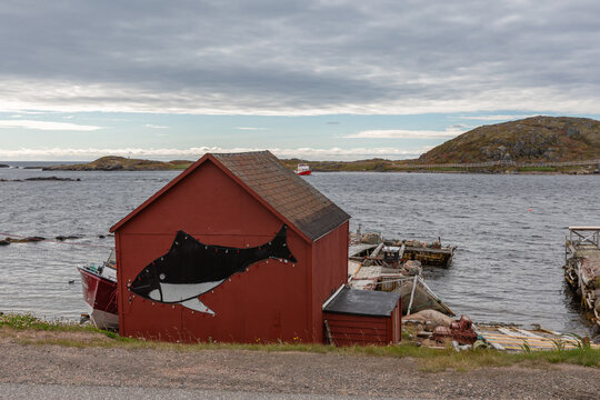A Red Fishing Hut with White and Black Orca Whale Mural Painted on the Side, Along the Shoreline in Red Bay, Newfoundland and Labrador on a Cold Day in Autumn