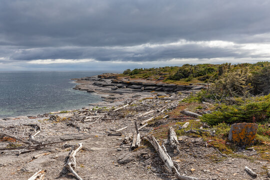 Colorful Limestone Cliffs and Rocky Shoreline and Beach Covered With Drift wood, Petite Ile au Marteau Island near Havre Saint Pierre, Quebec, Canada on a Cloudy Autumn Day