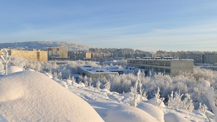 Winter cityscape with trees and bushes covered with snow and frost on a sunny frosty day.