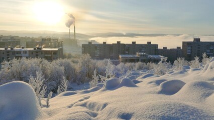 Winter cityscape with trees and bushes covered with snow and frost on a sunny frosty day.