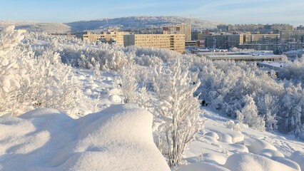 Winter cityscape with trees and bushes covered with snow and frost on a sunny frosty day.
