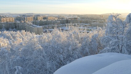 Winter cityscape with trees and bushes covered with snow and frost on a sunny frosty day.