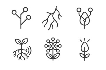 Fototapeta premium Network Flora Icons. Line style round vector icons of Network Flora: linked branch, streaming vein, connected seed, signal root,