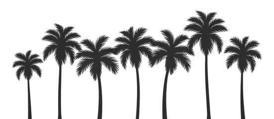 Obraz premium PNG Palm trees silhouette outdoors nature 