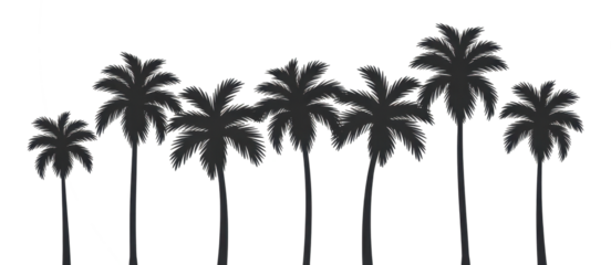 PNG Palm trees silhouette outdoors nature