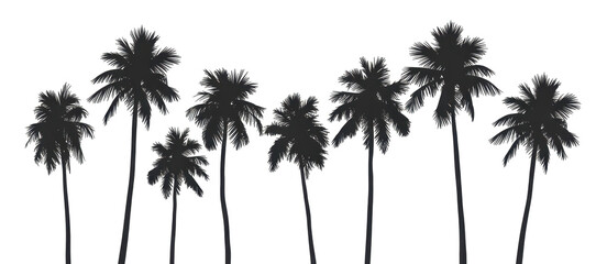 PNG Palm trees silhouette outdoors nature 