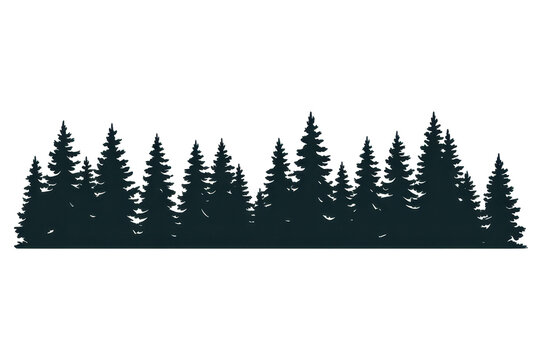 Forest silhouette evergreen trees landscape 
