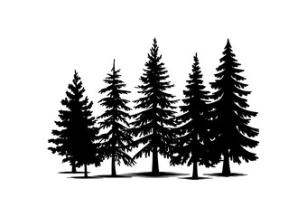 Obraz premium Set Collection Conifer Cedar Coniferous Cypress Pine Evergreen Fir Hemlock Spruce Larch Pinus tree forest illustration Logo design 