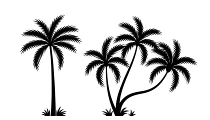 Fototapeta premium silhouette of palm trees 