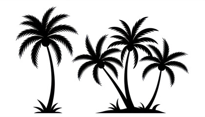 Fototapeta premium silhouette of palm trees 