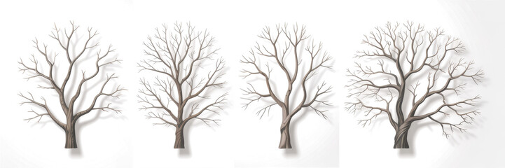 Obraz premium dead trees or dry tree collection isolated on white background. 