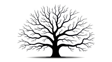 Obraz premium Leafless tree isolated on white 