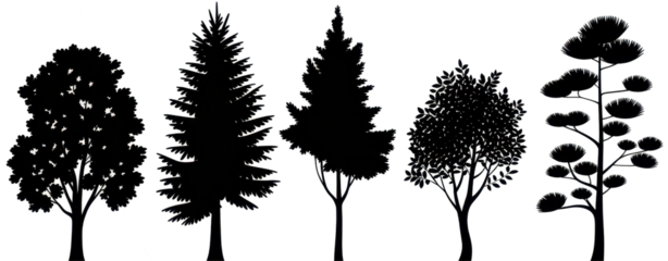 Realistic trees in black and white color, nature park silhouette icons. Different trees and shrubs of coniferous and deciduous forest with grass meadows. png on transparent background