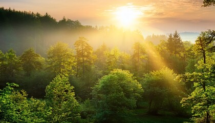 experience breathtaking beauty of summer dawn in lush forest where soft light filters through leaves