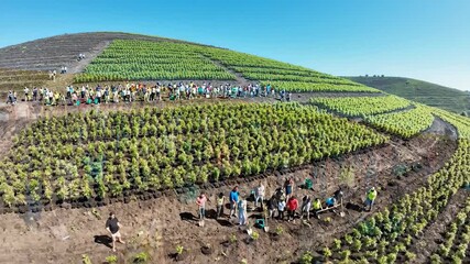 Community Tree Planting Event - Restoring Nature Together.