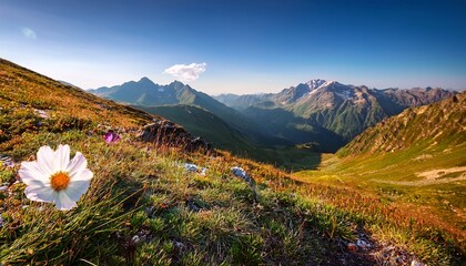 breathtaking summer landscape featuring majestic mountains adorned with single flower on its slope