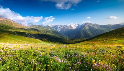 meadow in the mountains