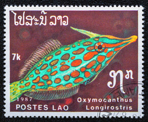 LAOS - CIRCA 1987:Postage stamp printed in Laos shows Harlequin Filefish (Oxymocanthus longirostris.Tropical Fish serie.Philately.World stamp collection.