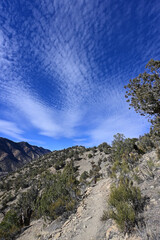 Hiking trail on Mount Medaris above town of New Castle, Colorado on sunny autumn afternoon.