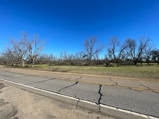 Hurricane Helena Pecan tree damage side street view
