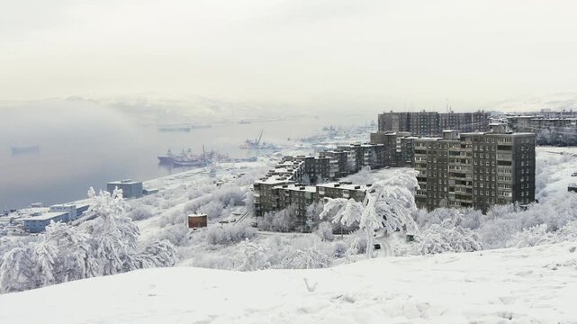 A typical day at the seaport on a frosty winter day. Kola Bay. Trees and bushes are covered in snow and frost.
