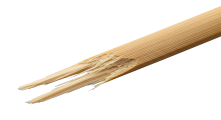 Close-up shot of a broken bamboo chopstick, showing the splintered end.