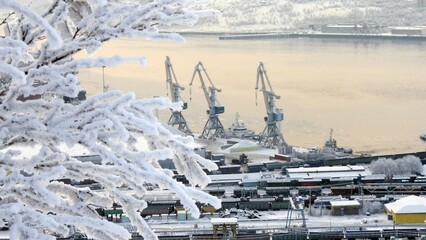 A typical day at the seaport on a frosty winter day. Kola Bay. Trees and bushes are covered in snow and frost.