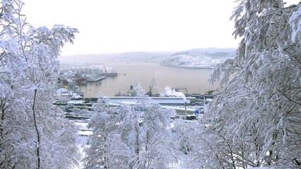 A typical day at the seaport on a frosty winter day. Kola Bay. Trees and bushes are covered in snow and frost.