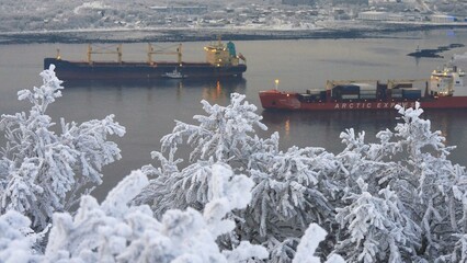 A typical day at the seaport on a frosty winter day. Kola Bay. Trees and bushes are covered in snow and frost.