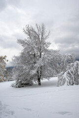 Obraz premium Winter Landscape of South Park in city of Sofia, Bulgaria