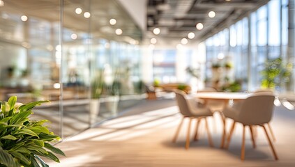 Bright, sunlit modern office interior with plants and seating