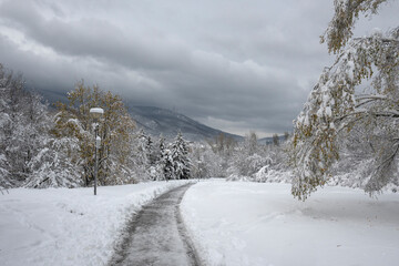 Obraz premium Winter Landscape of South Park in city of Sofia, Bulgaria