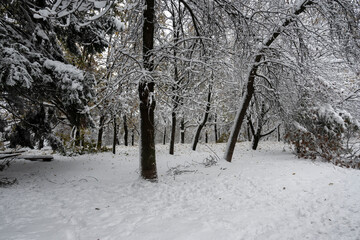 Winter Landscape of South Park in city of Sofia, Bulgaria