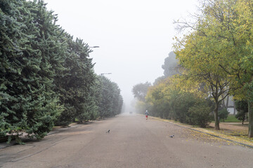 Entrance to the large park of Zaragoza Jose Antonio Labordeta on a foggy day