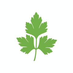 Fototapeta premium A stylized green leaf likely parsley or cilantro on a white background