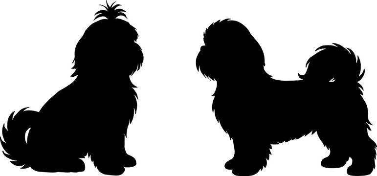 Black Shih Tzu dog silhouette vector illustration isolated