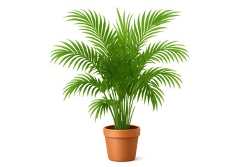 Obraz premium Potted indoor houseplant, a phoenix palm gracing an elegant terracotta pot, decorating home and office space with lush foliage