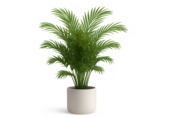 Potted indoor plant with lush green leaves, bringing a sense of nature and organic element to modern interior spaces