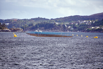 Small Lighthouse on Rocky Norwegian Coast