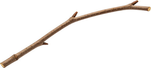 Obraz premium A Single Brown Tree Branch With Small Buds And A Rough Texture Isolated On A Transparent Background Twig Wood Nature Bark Transparent Background Isolated Object Transparent Background