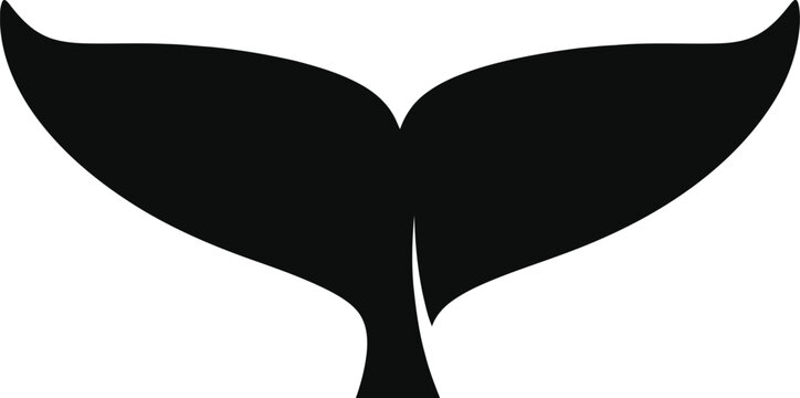 whale tail vector